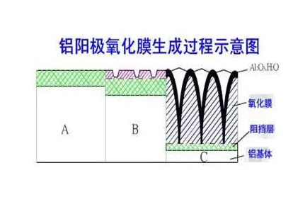 鋁型材硬質陽極氧化膜生成過程